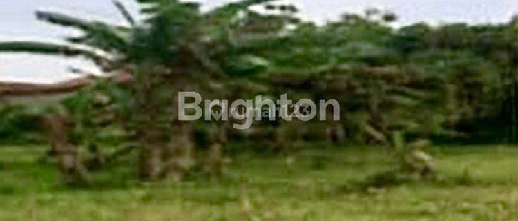 Tanah di sewakan lokasi strategis di Kerobokan Area  1