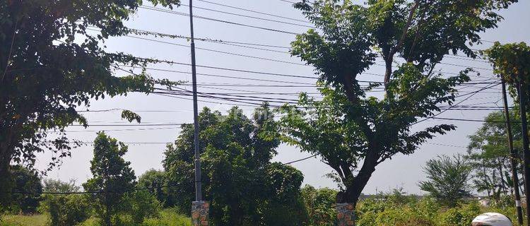 Tanah SHM Lokasi Strategis di Tunggulrejo Kendal 1