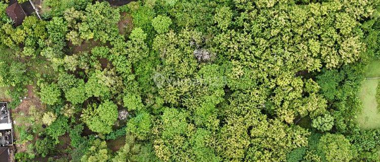 Dijual Tanah Kavling di Ungasan Jimbaran | PRPJ34 1