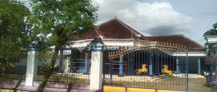 Dijual Murah Via Lelang Rumah Bangsalsari Jember Bs327 1