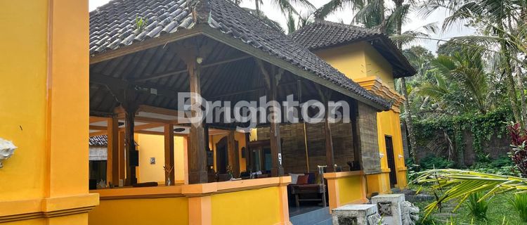 ✨ ROYAL VILLA – SUASANA ALAM ASRI DI PAYANGAN UBUD 1