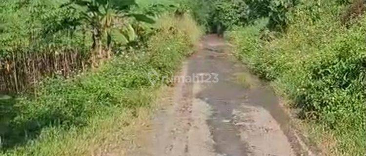 Di Jual Tanah Pinggir Jalan Tol Tanah Baru Sentul  1
