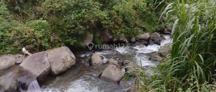 Di Jual Villa Sukabumi Pinggir Sungai  1