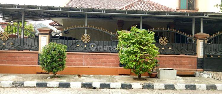 Rumah 2 Lantai Siap Huni Furnished Pinus Taman Royal 1