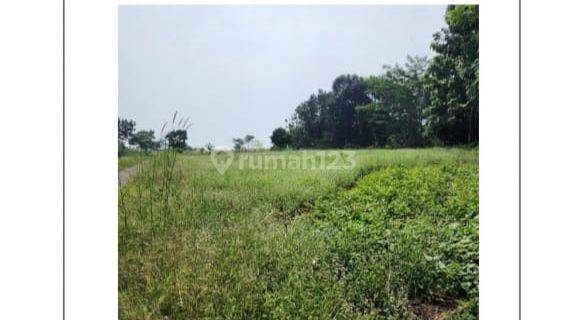Dijual Tanah Lelang di Jalan Raya Cidadap Kab. Sukabumi  1