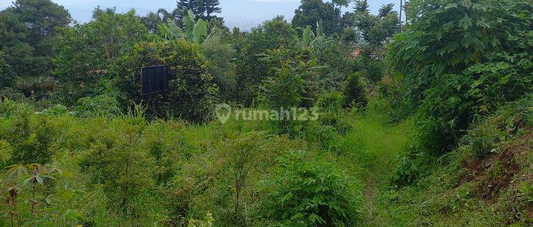 Dijual Tanah Lelang di Jalan Sersan Bajuri, Parongpong Kbb 1