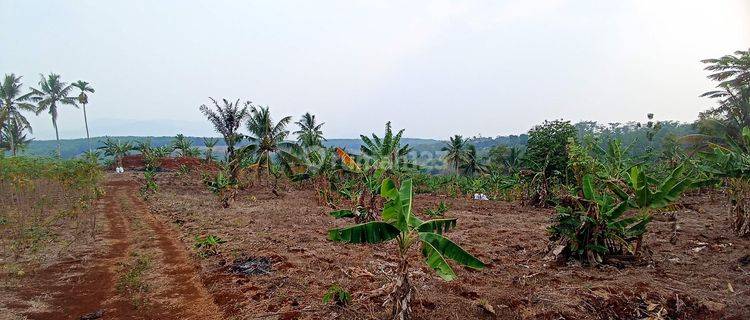 Dijual Tanah Lelang Luas di Sirnawati, Cipatat Kab Bandung Barat 1