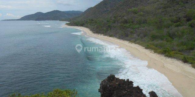 For Sale Land Beach Front Sili Sumbawa Barat  1