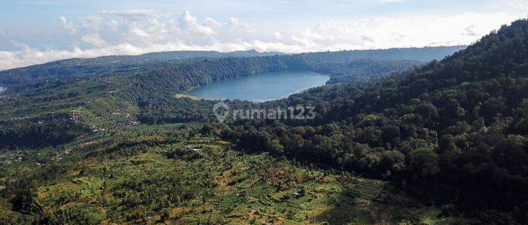 Tanah Murah Cocok Untuk Restorsn Villas View Danau Gunung di Munduk 1