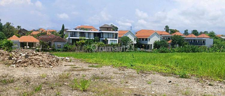 Tanah Murah Deket Pantai Di Canggu  1