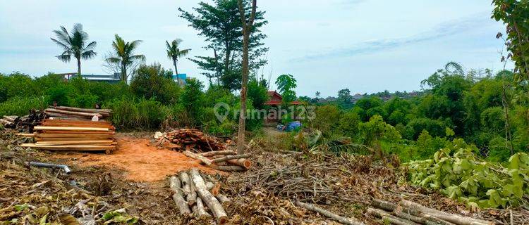 Tanah 84 m2 SHM Merjosari, Malang Bisa Inhouse, 7 Menit UMM 1
