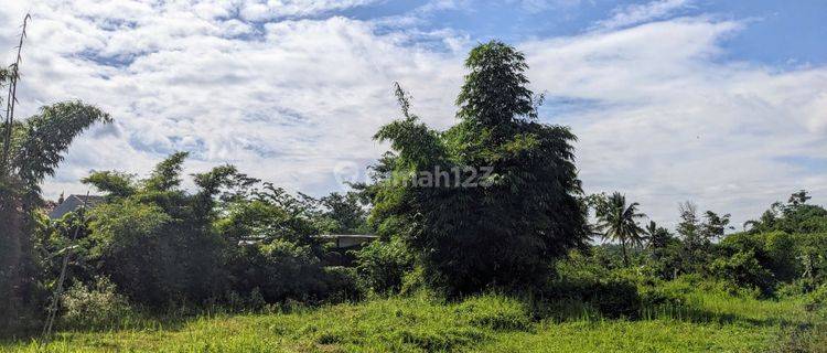 Dijual Tanah SHM Dekat Pabrik Gula Kebon Agung Malang 1