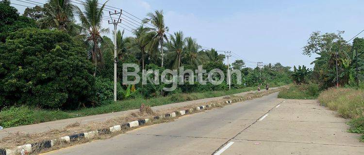 Tanah didaerah perbukitan Serang Banten 1