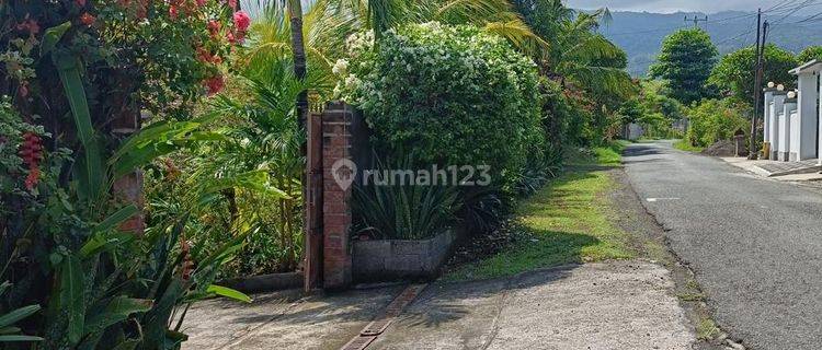 Dijual Tanah bonus Bangunan Sukasada Buleleng dekat pantai Lovina  1