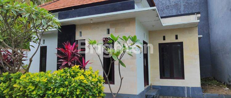 RUMAH 3KT, MINIMALIS STRATEGIS di Perumahan di SINGARAJA BALI. 1