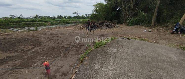 Rumah Murah di Selomartani hanya 295 juta 1