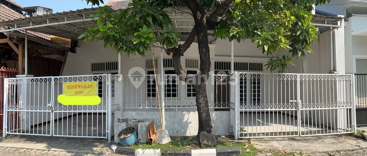 Disewakan Murah Rumah Bagus Dekat Universitas Kristen Petra  1