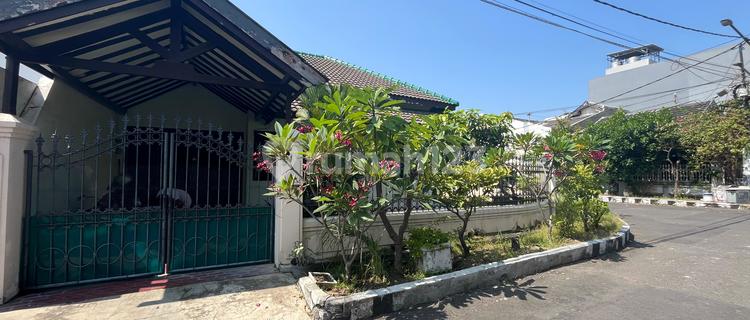 For Sale Ready-to-Occupy Hook House Darmo Baru Barat 1