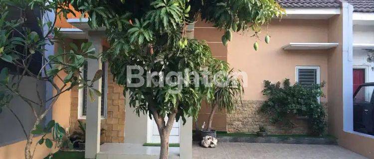 Rumah Siap Huni Sutorejo Dekat Pakuwon City Kenjeran Its 1