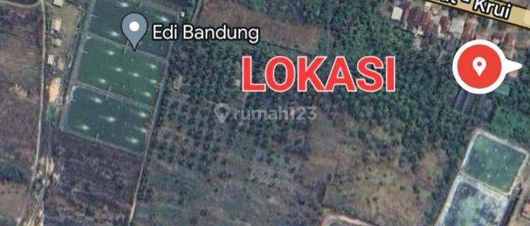 Dijual Tanah Murah di Lampung Barat Dekat Pantai 1