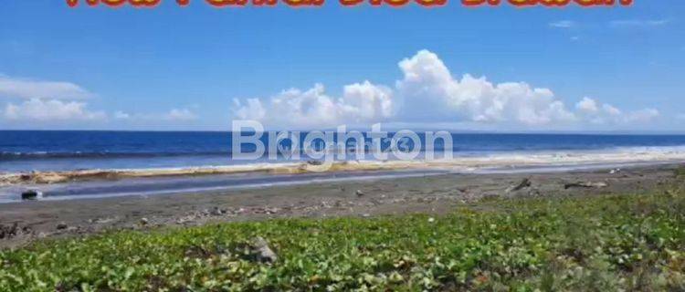 TANAH 77,8 ARE DI JEMBRANA BALI – VIEW LAUT INDAH, INVESTASI TERBAIK! 1