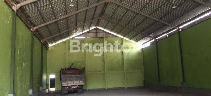 GUDANG KARGO DEKAT JALAN MAHENDRADATTA DENPASAR BARAT  1