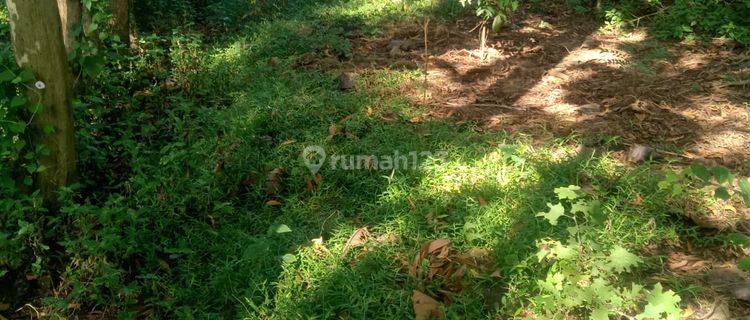 Tanah Pekarangan 100jt di Kebakkramat  1