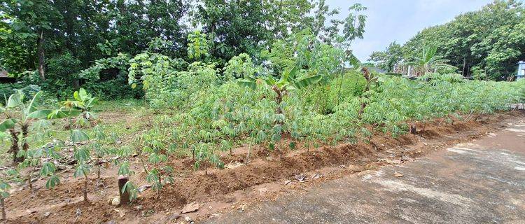 Tanah Pekarangan di Kebakkramat 65jt  1