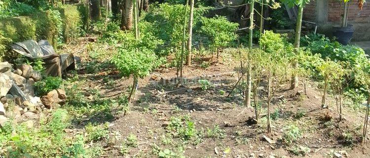 Tanah Pekarangan Lokasi Kaliwuluh Kebakkramat  1