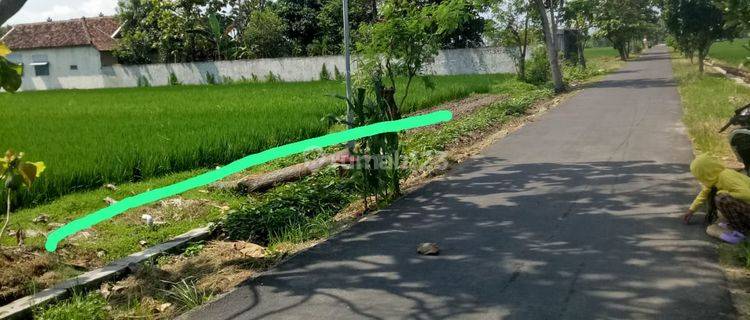 Tanah Pekarangan Fisik Sawah di Trucuk Klaten  1