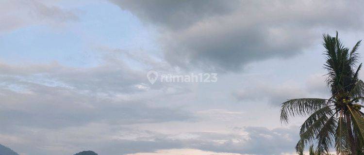 Jual Tanah Kavling View Indah Lokasi Strategis Di Jalur Puncak  1