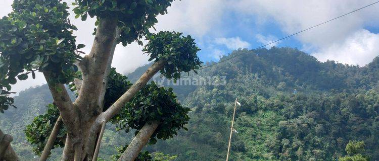 Jual Tanah Kavling Di Kawasan Wisata Terbaru 2025 1