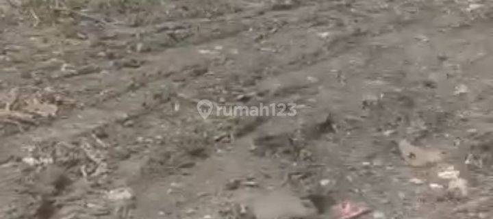 D8 Jual Tanah Area Jl Gunung Agung  1