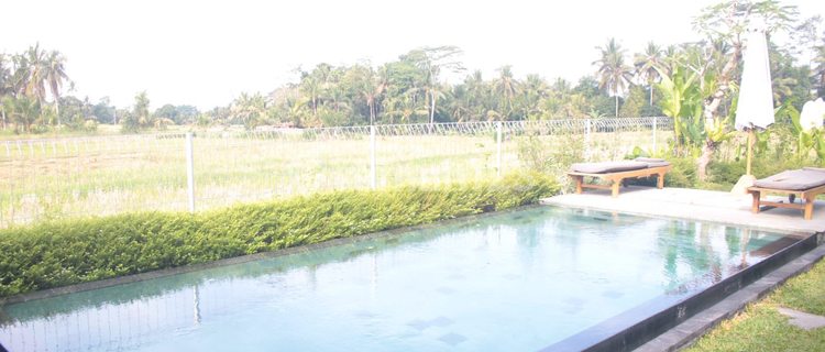 2-Bedroom Villa with Rice Field View & Private Pool in Ubud (124V) 1