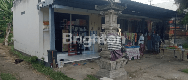 TANAH 6 ARE BONUS 3 RUKO LOKASI JALAN RAYA SINGARAJA  1