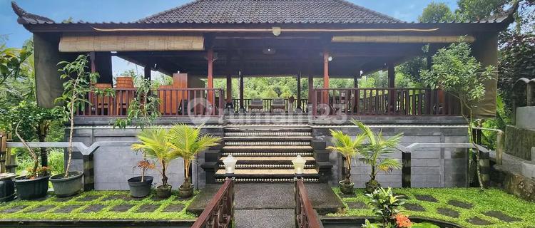 Villa Surga Tropis di Marga, Tabanan Luas  Tanah 36 Are (Jarot) 1