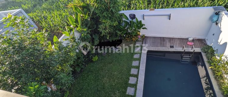 Beautifull And Nice View Villa in Saba Gianyar (Dessy) 1