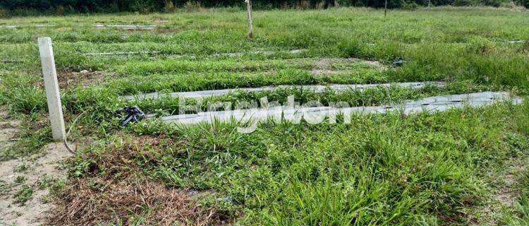 TANAH DI DUMAI ,NEGO SAMPAI JADI 1