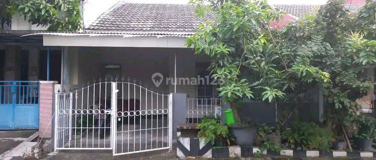 Rumah Pandugo Baru Under 2m Murah Siap Huni 1