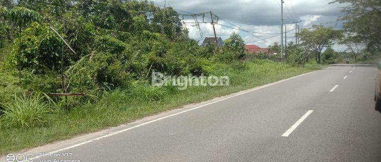TANAH DI JALAN PADANG,DIJUAL 1