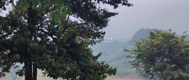 Tanah Kavling Nuansa Alam Agroeduwisata Bogor Luas 300 M²  1