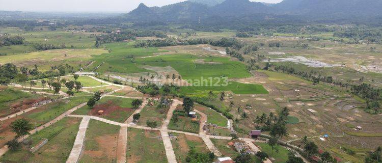 Tanah Di Bogor Timur Nuansa Alam Golden View Bogor Luas 450 M²  1