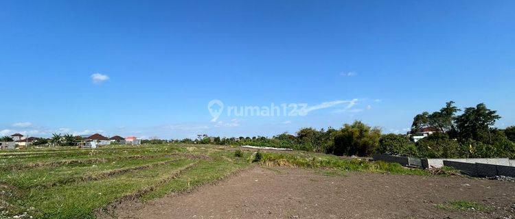 Tanah Kavling Ekslusive Harga Ekonomis View Sawah Di Dauh Peken 1
