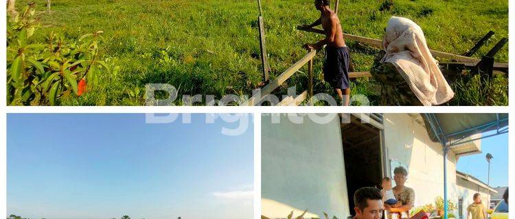 jual tanah 1