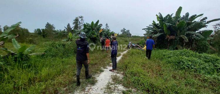 Dijual Tanah Desa Kayu Bawang Kalimantan, Cocok Untuk Investasi 1