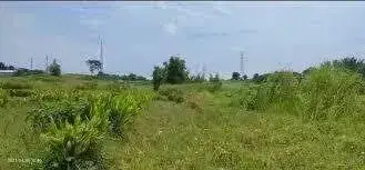 Tanah Insdustri Ngoro Mojokerto, Luas 12000 M2, Strategis, HGB 1