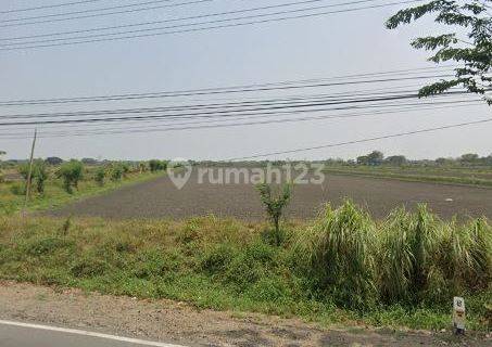 Tanah 33.000 m2, cocok buat Pabrik, Kami Spesialis Tanah Gresik. 1