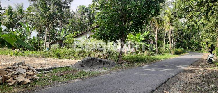 Di jual Tanah Pekarangan Strategis di Kulon Progo, Daerah Istimewa Yogyakarta 1