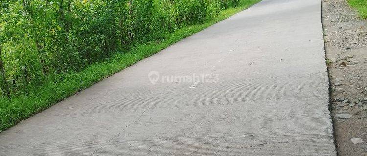 Turun Harga! Tanah Murah Sukoharjo Lebar Depan 15 m2 1