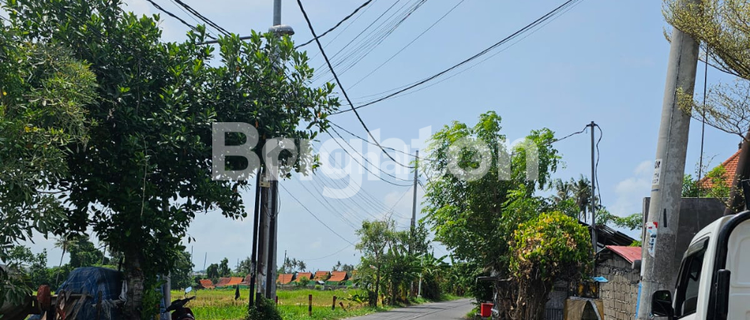 For Rent Shop House Location Mengwi Badung 1